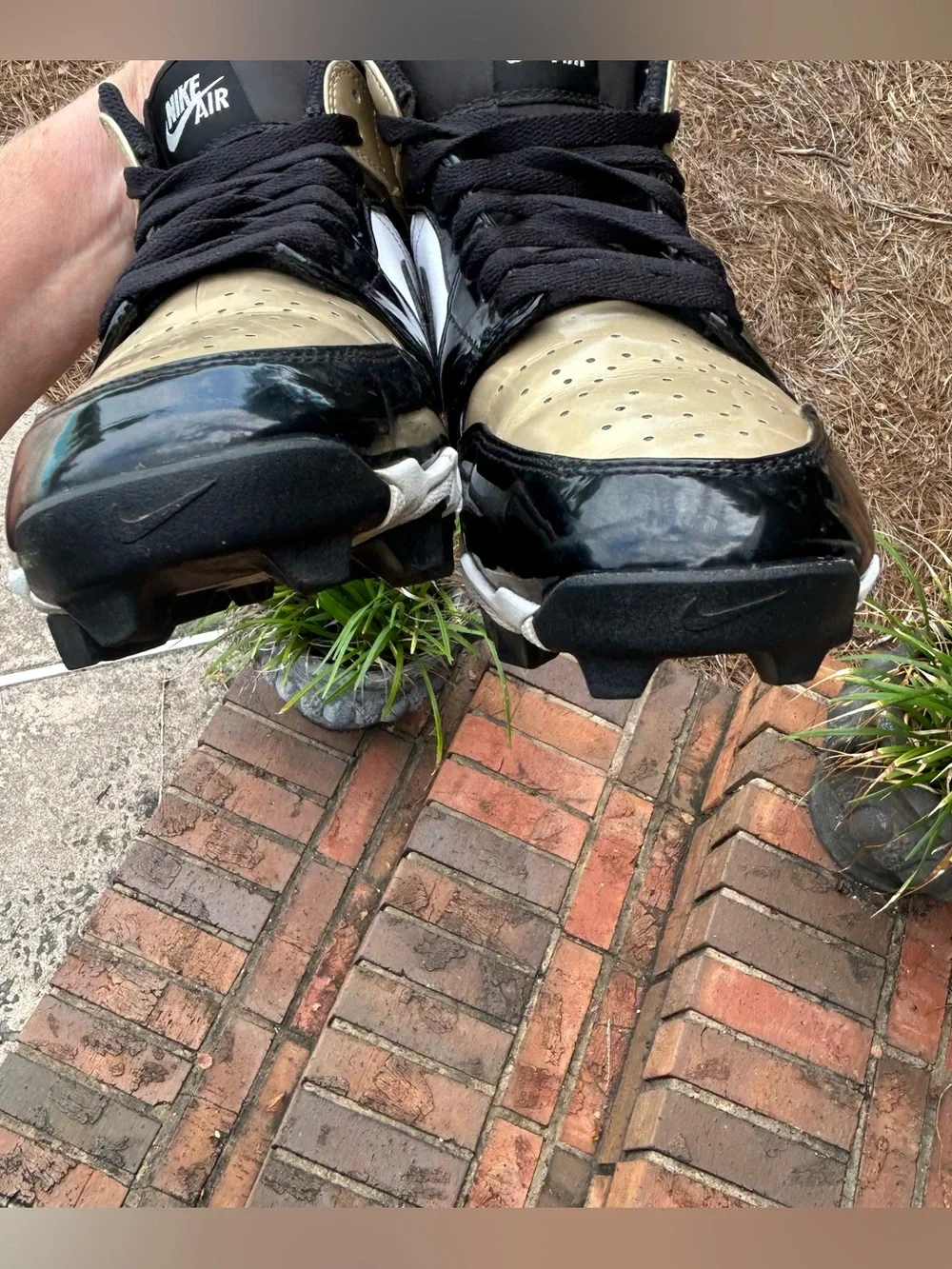Air Jordan 1 Mid TD 